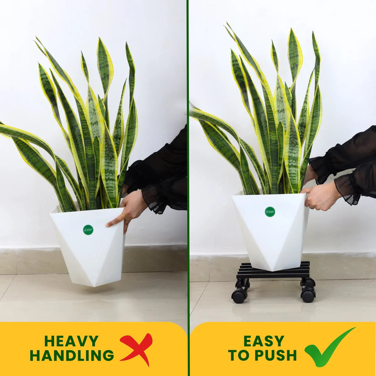 Urban Plant Square Caddy with Wheel Rolling Plant Stand